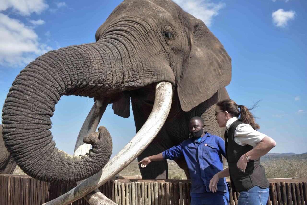 African Spirit Game Lodge Mkuze Экстерьер фото