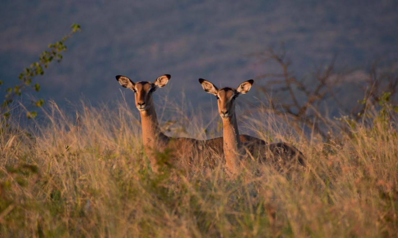 African Spirit Game Lodge Mkuze Экстерьер фото