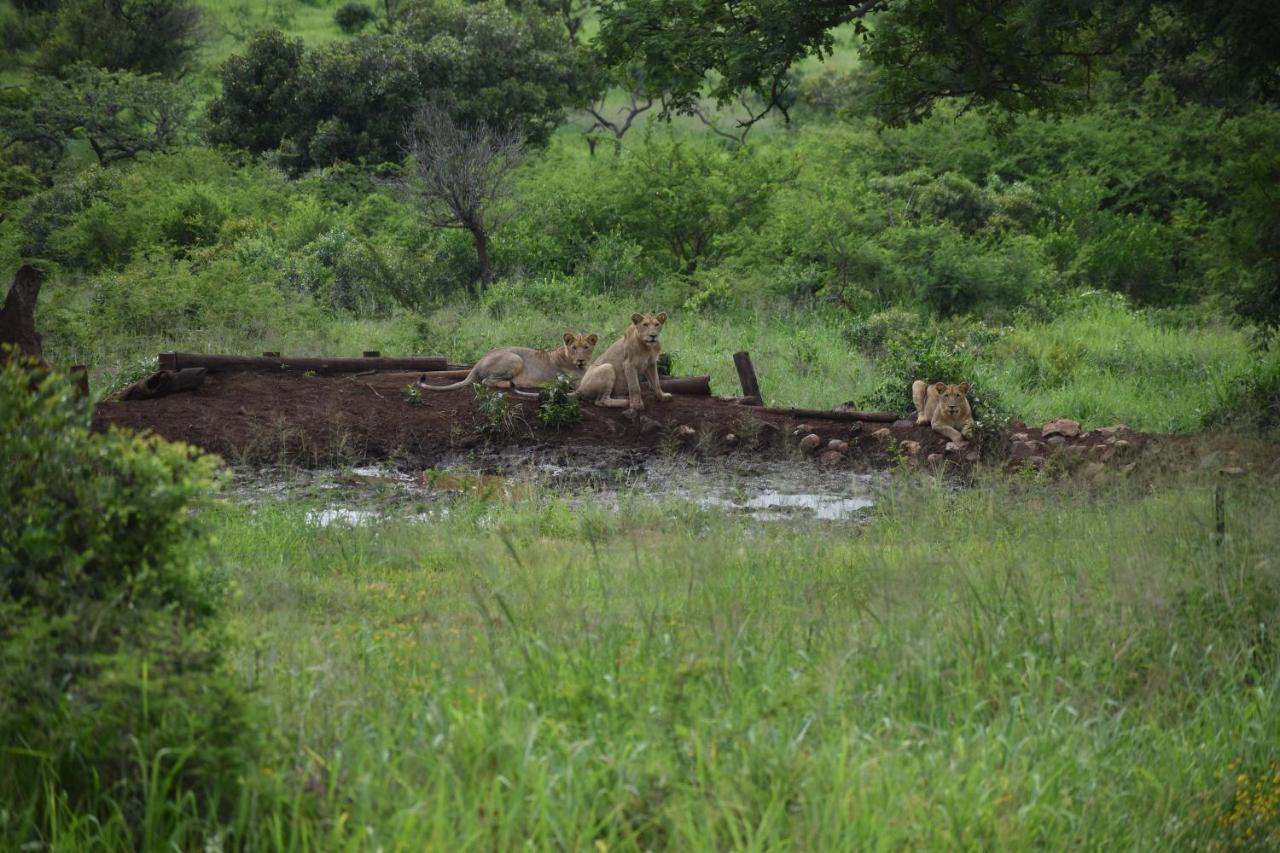 African Spirit Game Lodge Mkuze Экстерьер фото